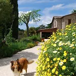 Casale Il Cerqueto *
