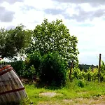 Bed & Breakfast Casale Il Cerqueto San Severino Marche