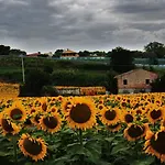 Bed & Breakfast Casale Il Cerqueto