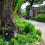 Casale Il Cerqueto Bed & Breakfast *