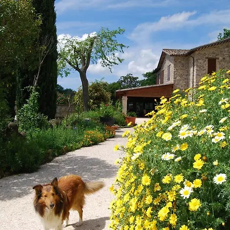 Casale Il Cerqueto *