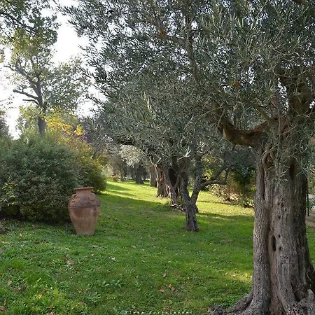 Frühstückspension Casale Il Cerqueto *