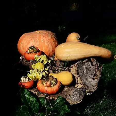 Casale Il Cerqueto Bed & Breakfast San Severino Marche