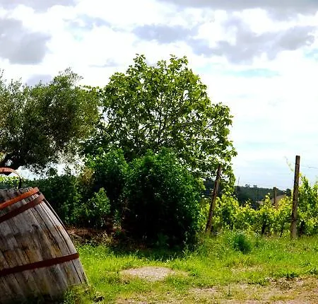 Nocleg ze śniadaniem Casale Il Cerqueto San Severino Marche