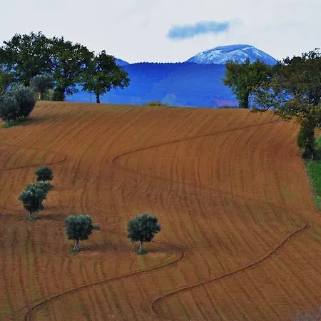 Bed & Breakfast Casale Il Cerqueto *