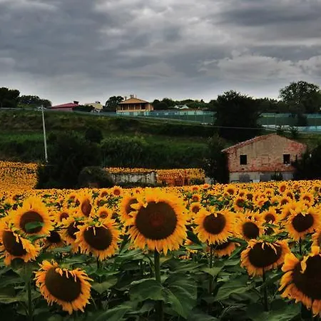 Nocleg ze śniadaniem Casale Il Cerqueto