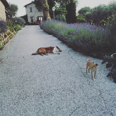 Bed & Breakfast Casale Il Cerqueto San Severino Marche