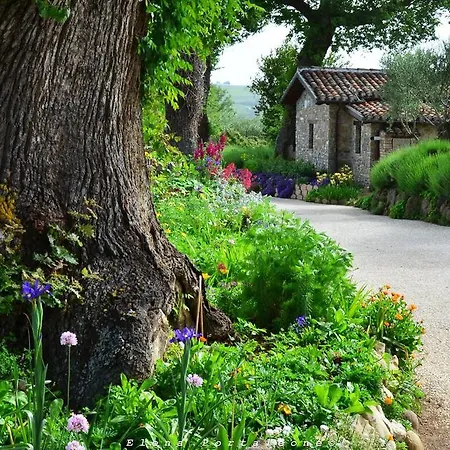 Casale Il Cerqueto Bed & Breakfast *